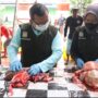 Pengecekkan Post Mortem Cacing Hati Pada Hewan Kurban